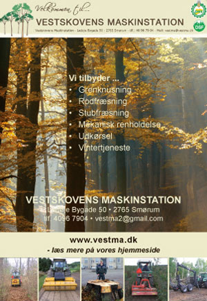 annonce-serviceoversigten-2011-vestma