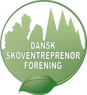 DSF-logo