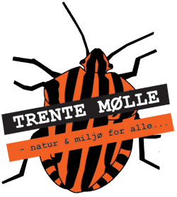 trente-moelle-2